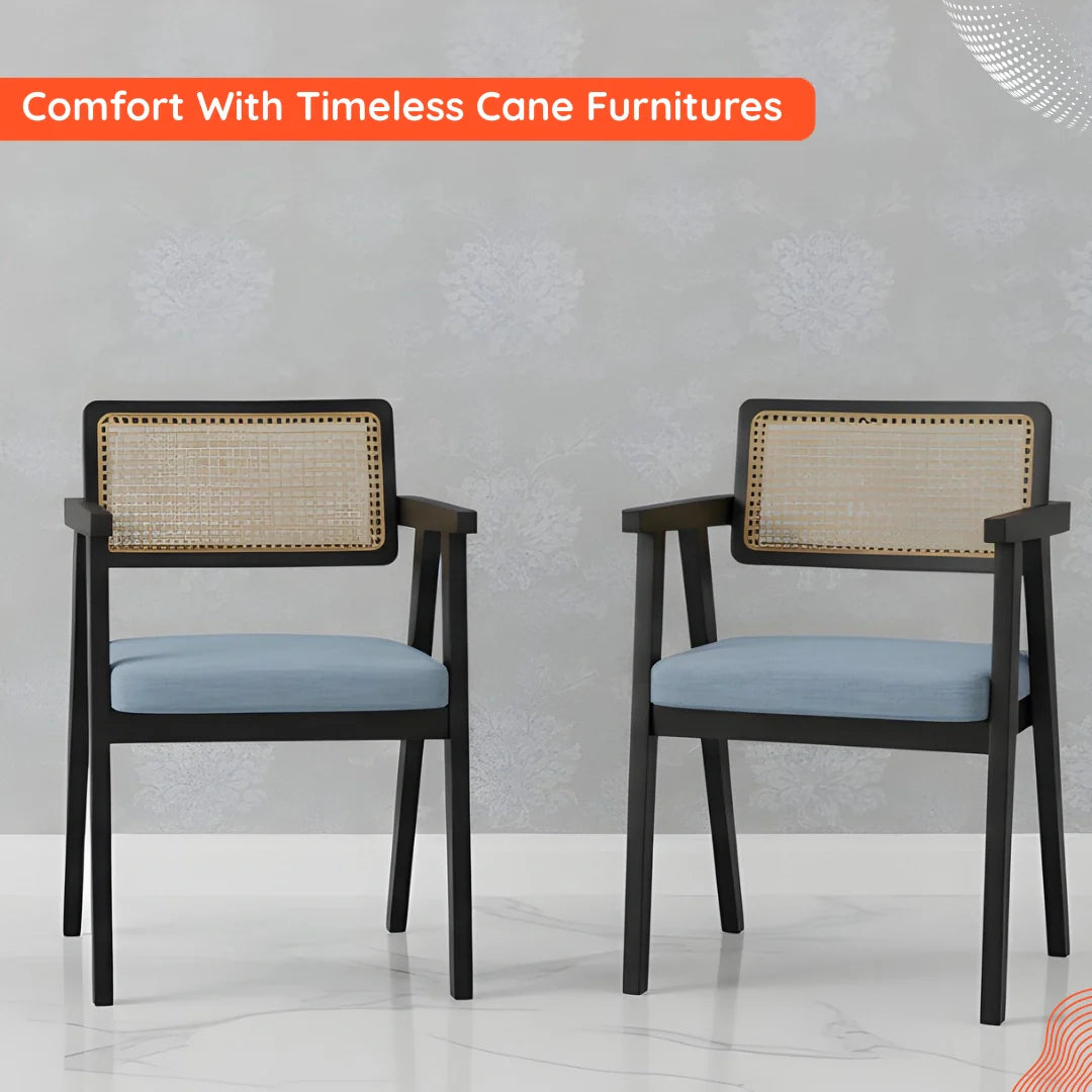 Cane Furniture IMAGE