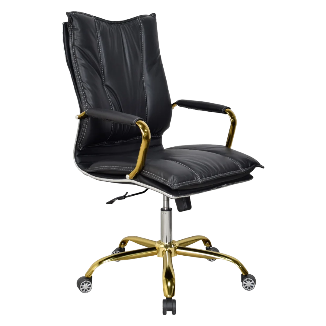 Adeka Medium Back Office Executive Chair (Black) Side Angle