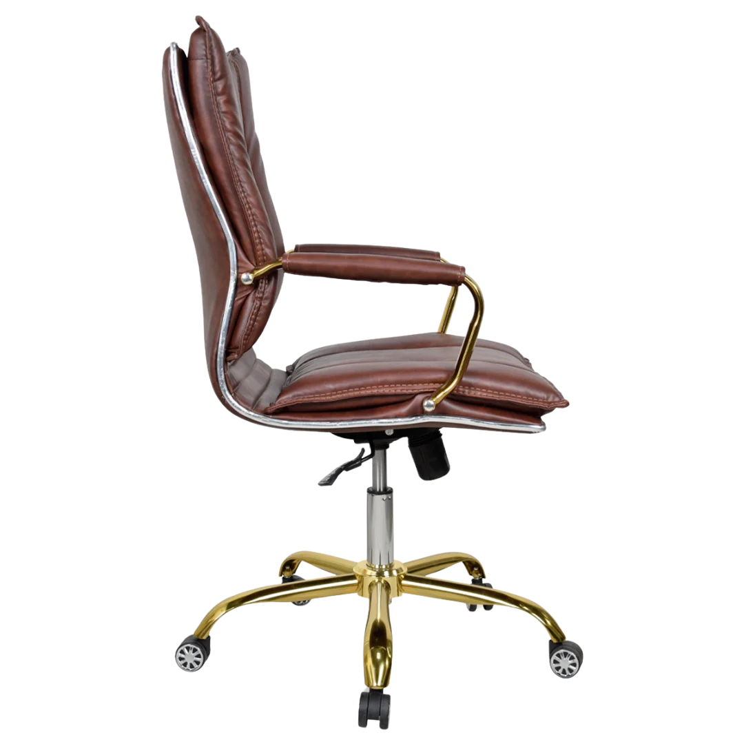 Adeka Medium Back Office Executive Chair (Brown) Side View