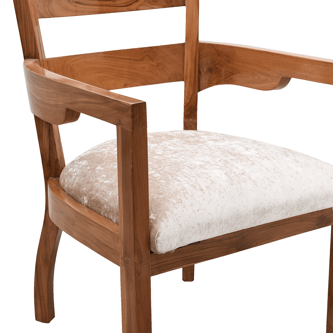 Projakto Teak Wood Living Room Chair (Teak Beige)