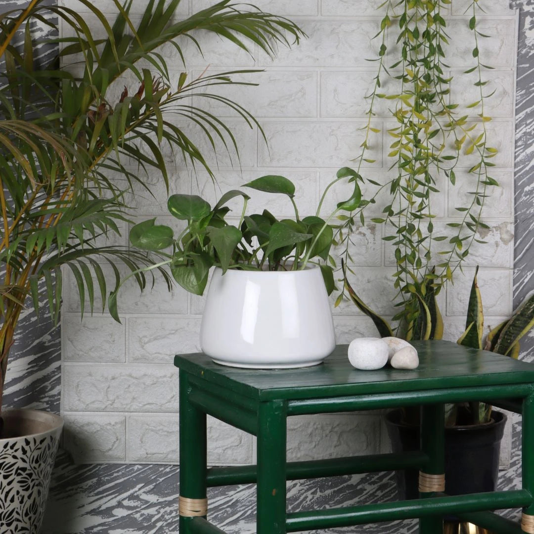 Fivara Ceramic Flower Pot lifestyle view