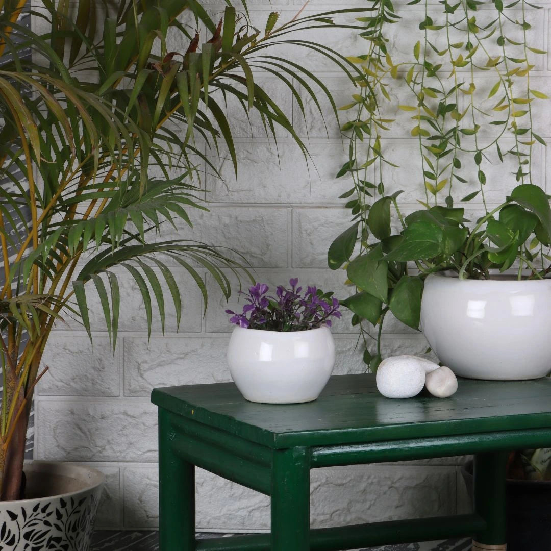 Floramic Ceramic Flower Pot (Set of 2) lifestyle view