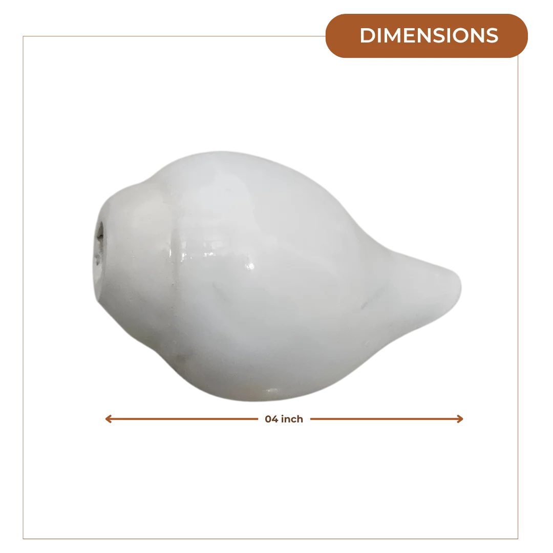 Pooja Shankh for Aarti Sound and Vastu Correction dimensions
