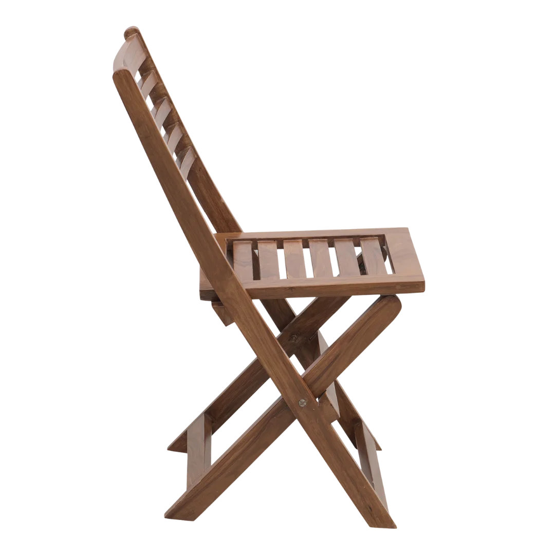 Portico Solid Wood Living Room Chair side view (Teak)