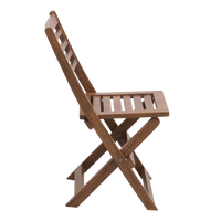 Portico Solid Wood Living Room Chair side view (Teak)