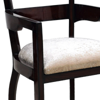 Projakto Teak Wood Living Room Chair in Brown color zoom view cushion