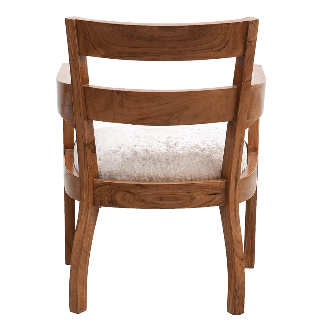 Projakto Teak Wood Living Room Chair in Teak Biege color back view