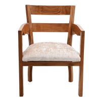 Projakto Teak Wood Living Room Chair in Teak Biege color front view