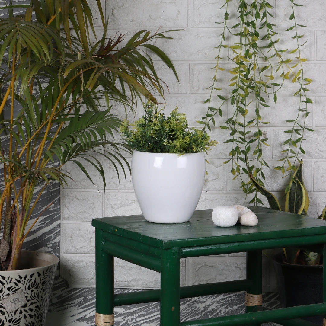 Rivano Ceramic Pot lifestyle view