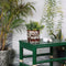 Roveko Ceramic Flower Pot lifesttyle view