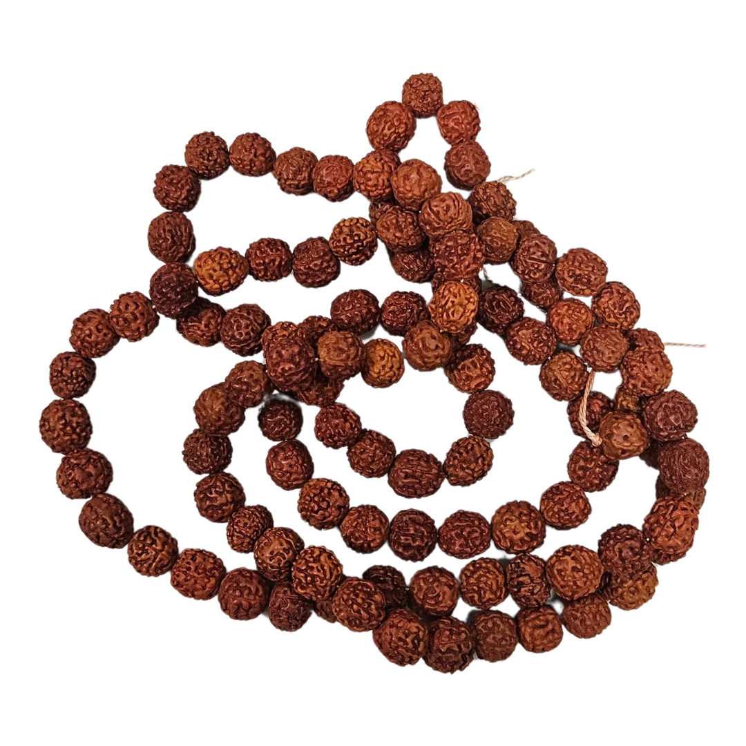 Rudraksha Mala (Large) top view