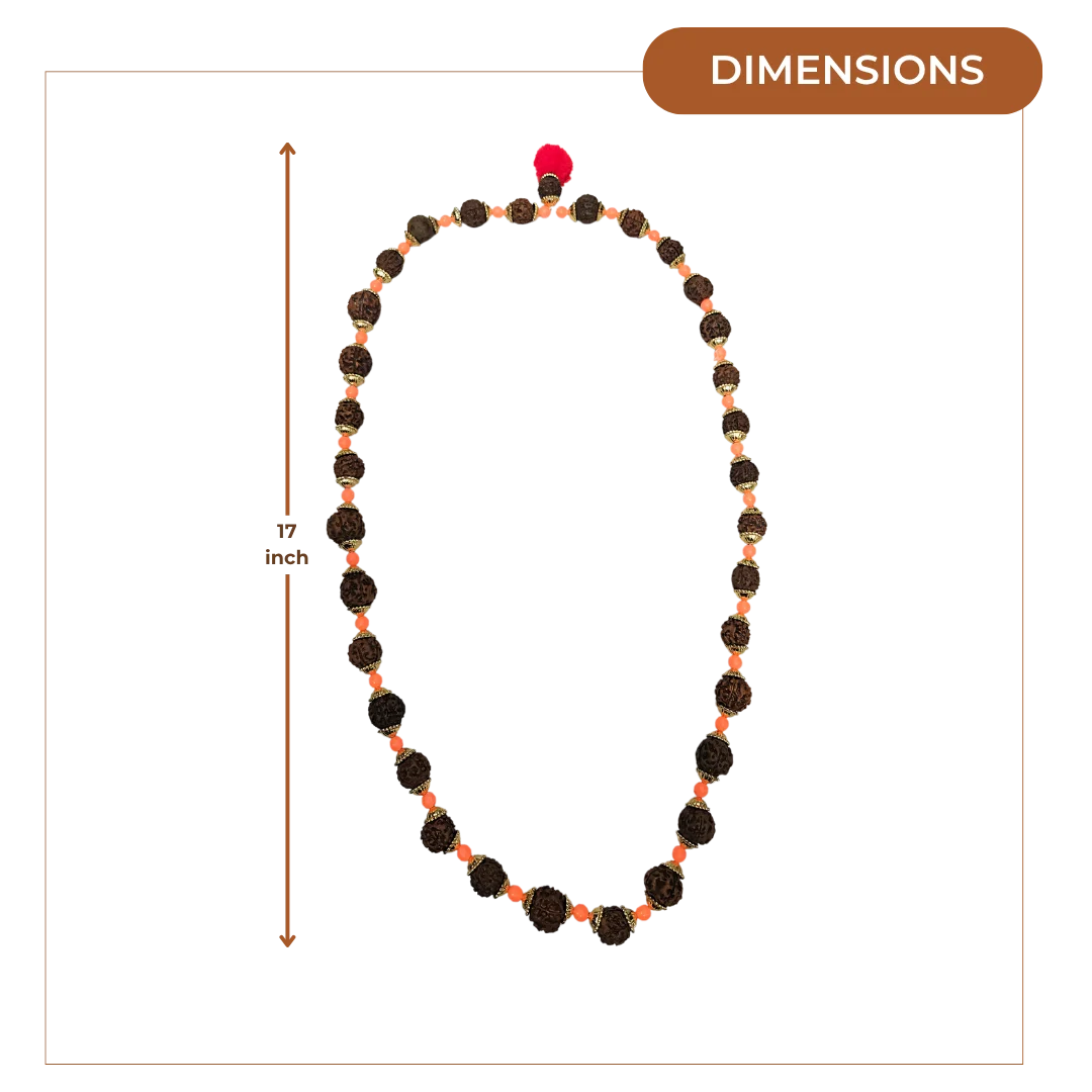 Rudraksha Mala (Small) dimensions