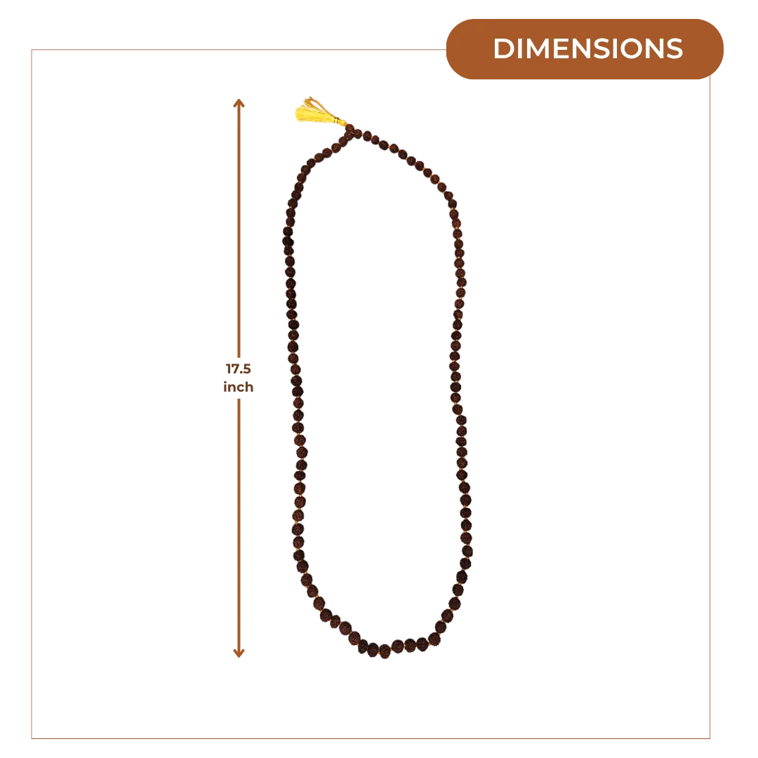 Rudraksha Mala (medium) dimensions