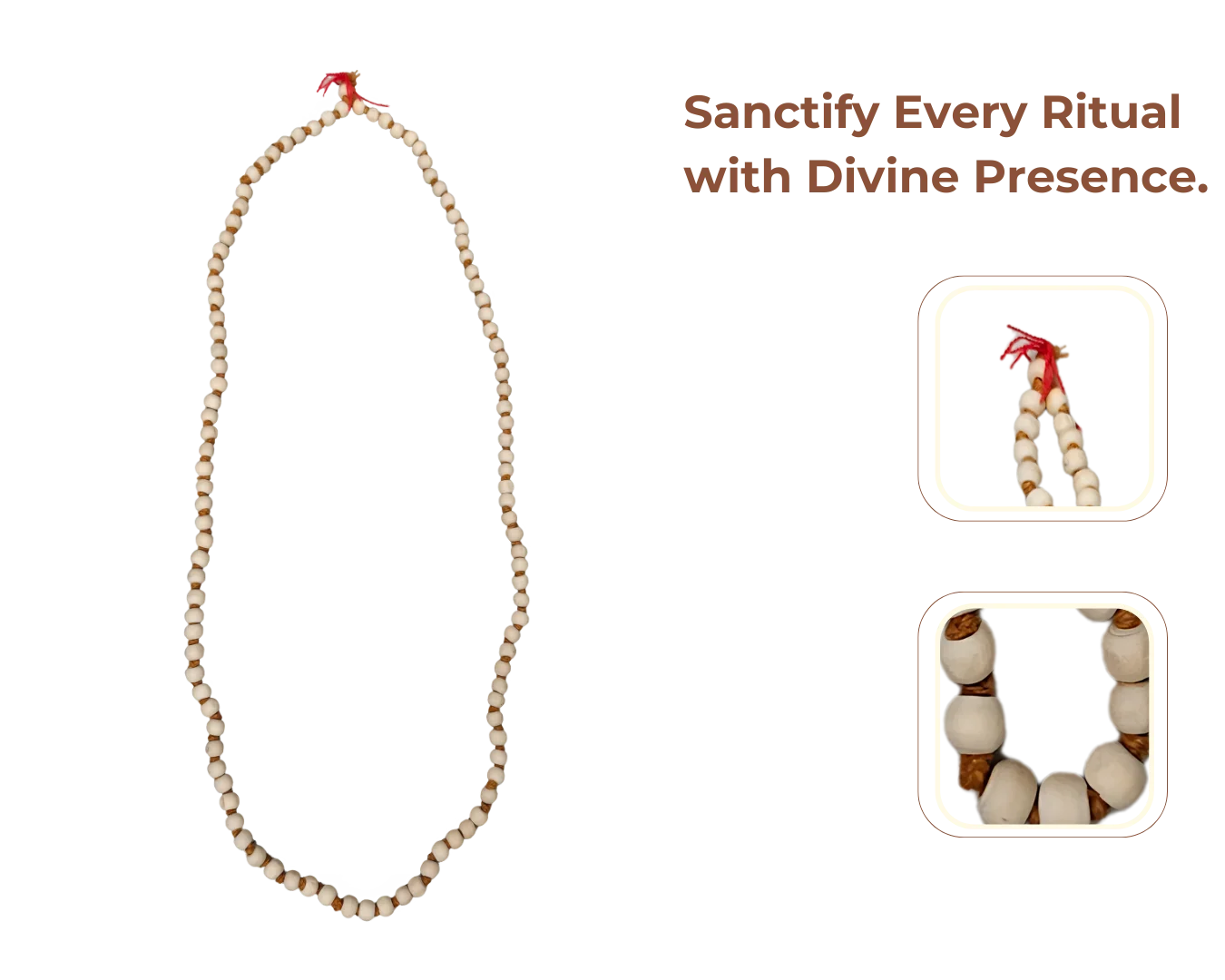Flat 05% Off Use Code: FESTIVE05