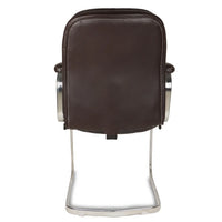 Vetra Visitor Chair with Armrest (Dark Brown) back view