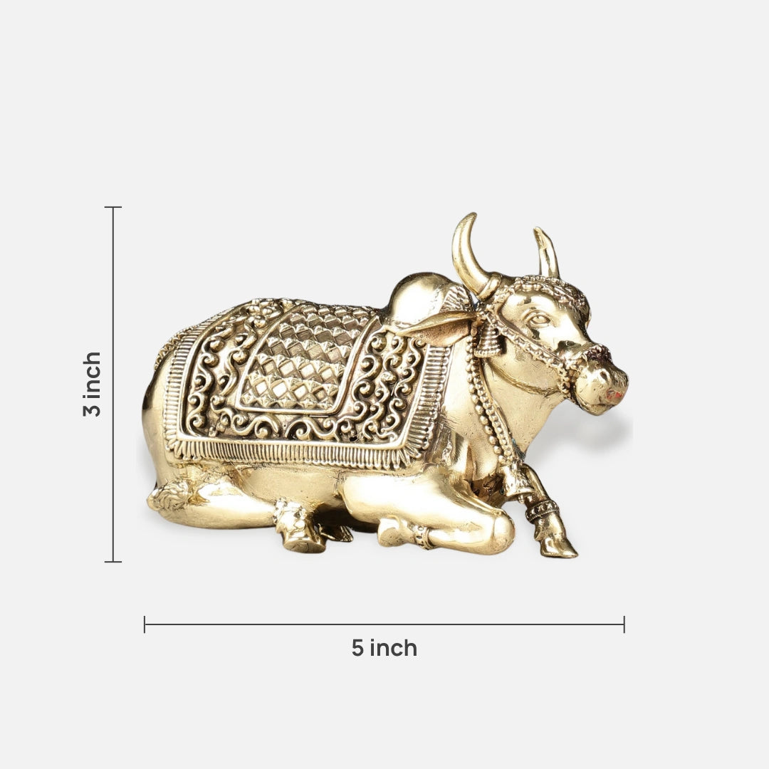 Nandi Brass Idol 4
