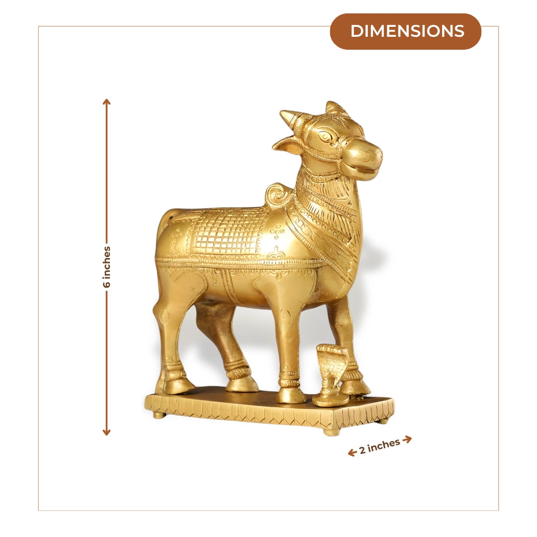 Nandi Brass Idol 5