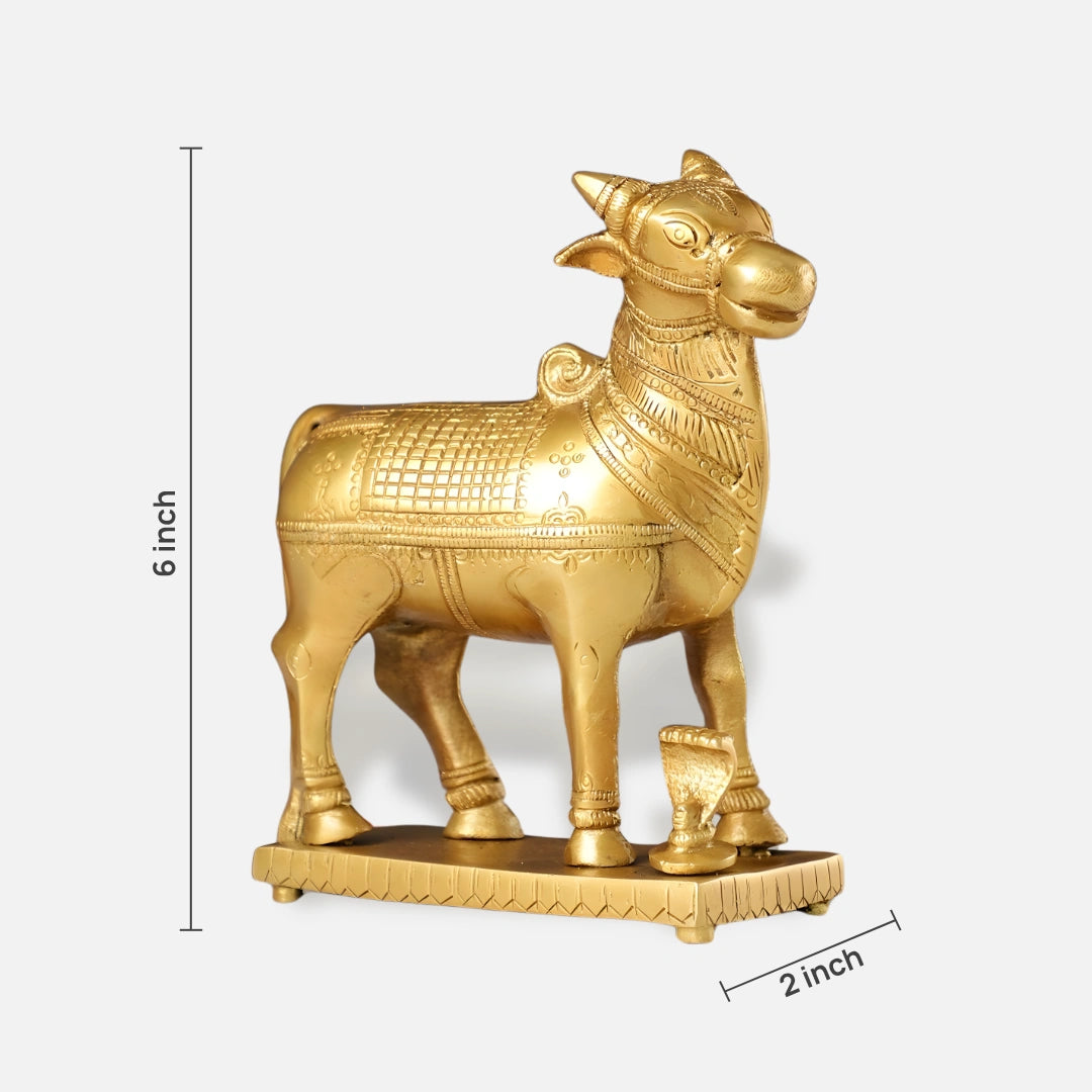 Nandi Brass Idol 5