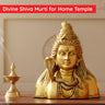 Shiva Idols