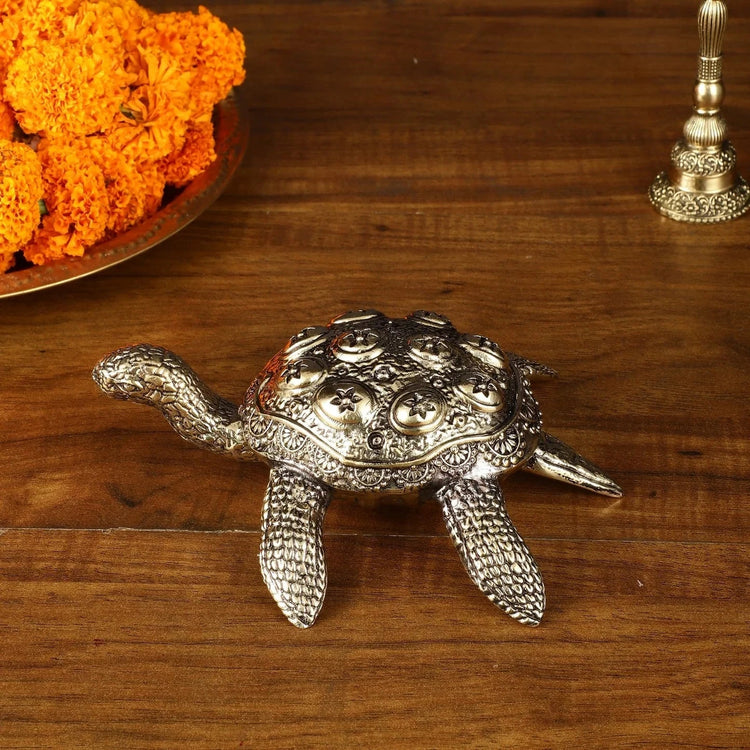 Turtle for vastu remedies