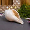 Pooja Decor