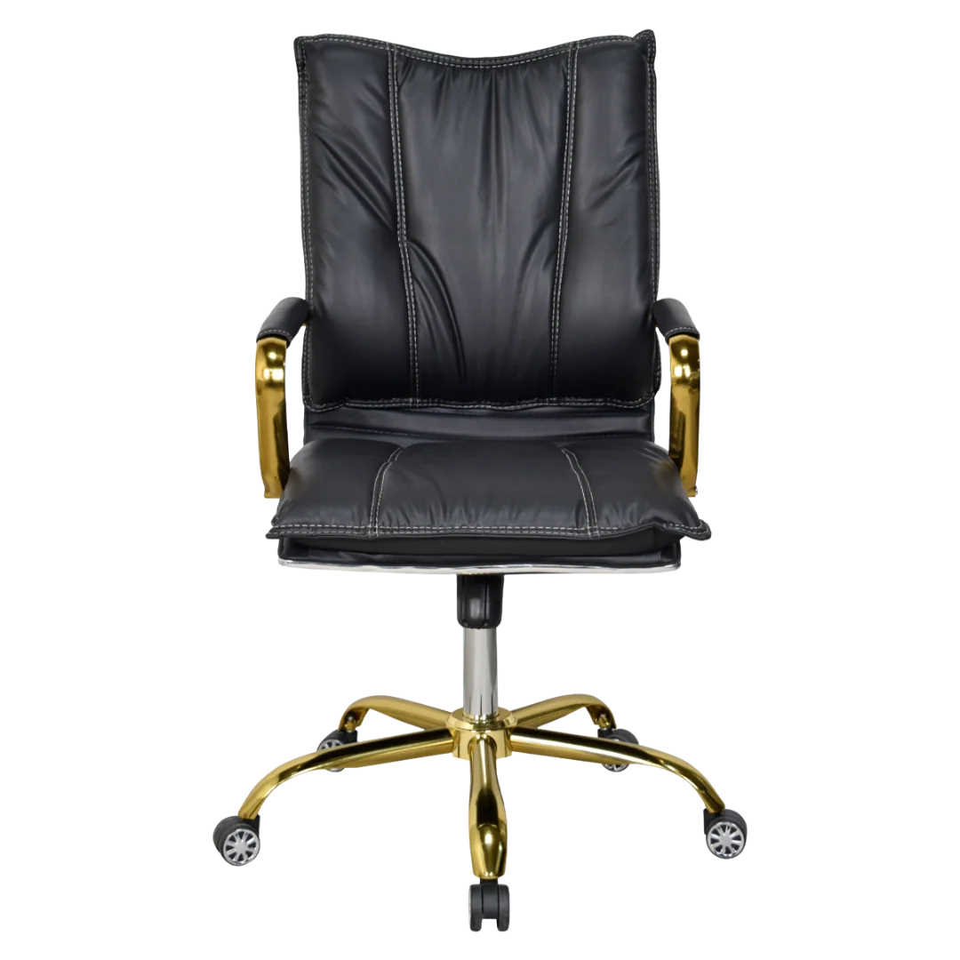 Adeka Medium Back Office Executive Chair (Black)