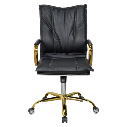 Adeka Medium Back Office Executive Chair (Black)