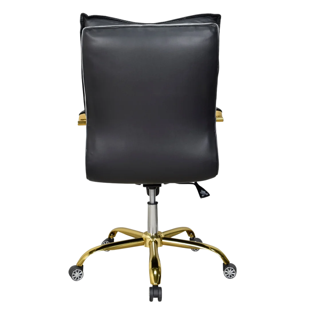 Adeka Medium Back Office Executive Chair (Black) Back View
