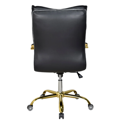 Adeka Medium Back Office Executive Chair (Black) Back View