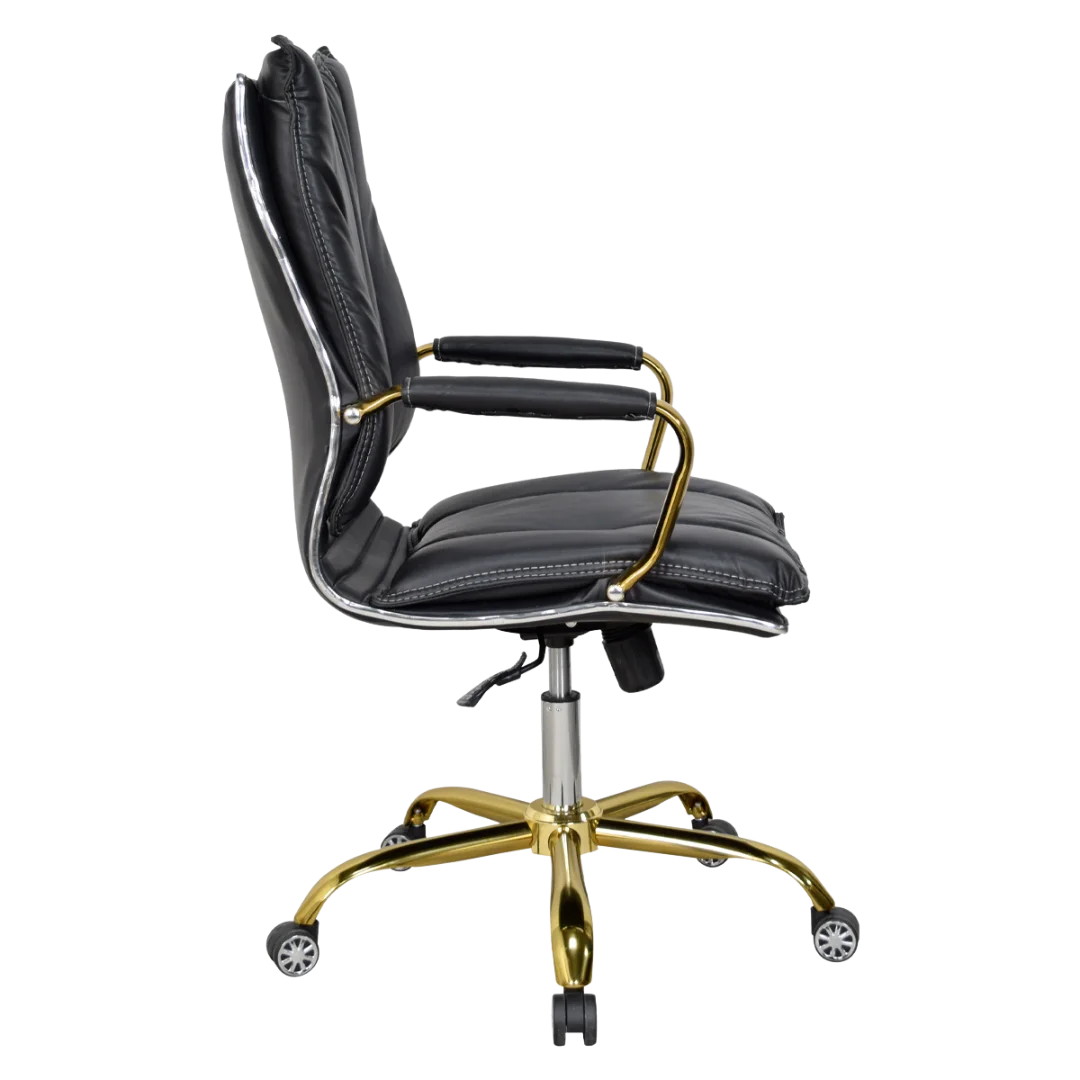 Adeka Medium Back Office Executive Chair (Black) Side View