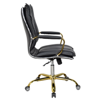 Adeka Medium Back Office Executive Chair (Black) Side View