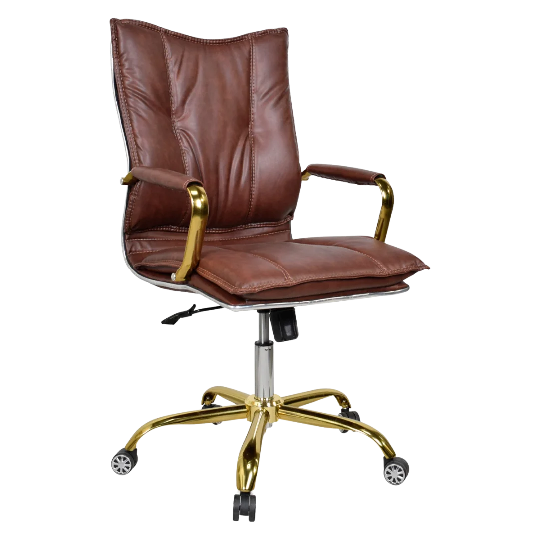 Adeka Medium Back Office Executive Chair (Brown) Side Angle