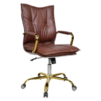 Adeka Medium Back Office Executive Chair (Brown) Side Angle