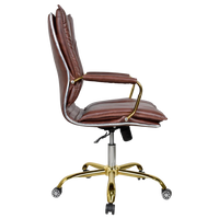 Adeka Medium Back Office Executive Chair (Brown) Side View