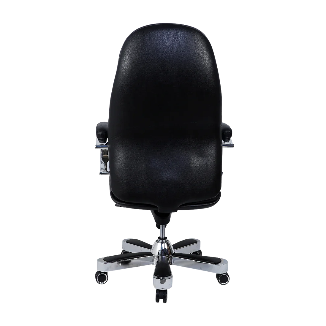 Aident Recliner Office Executive Chair (Black) Back View