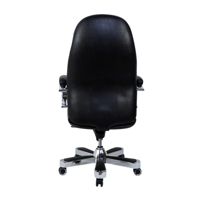 Aident Recliner Office Executive Chair (Black) Back View