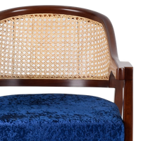 Bemla Teak Wood Arm Chair in Brown Blue color zoom view Cushion and Mesh