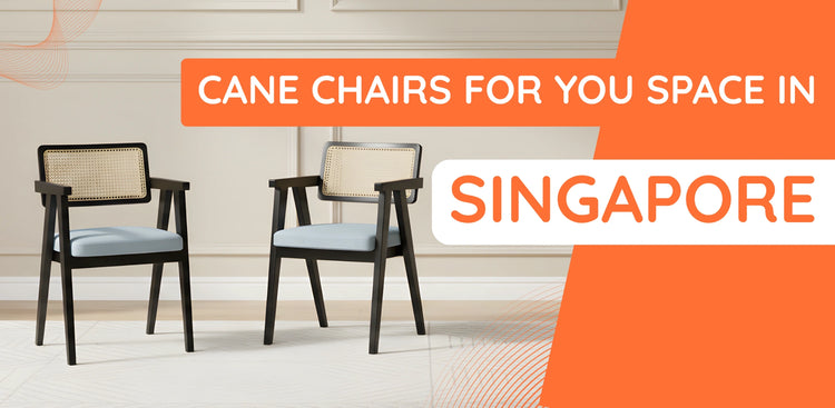 Cane Chairs in Singapore banner 