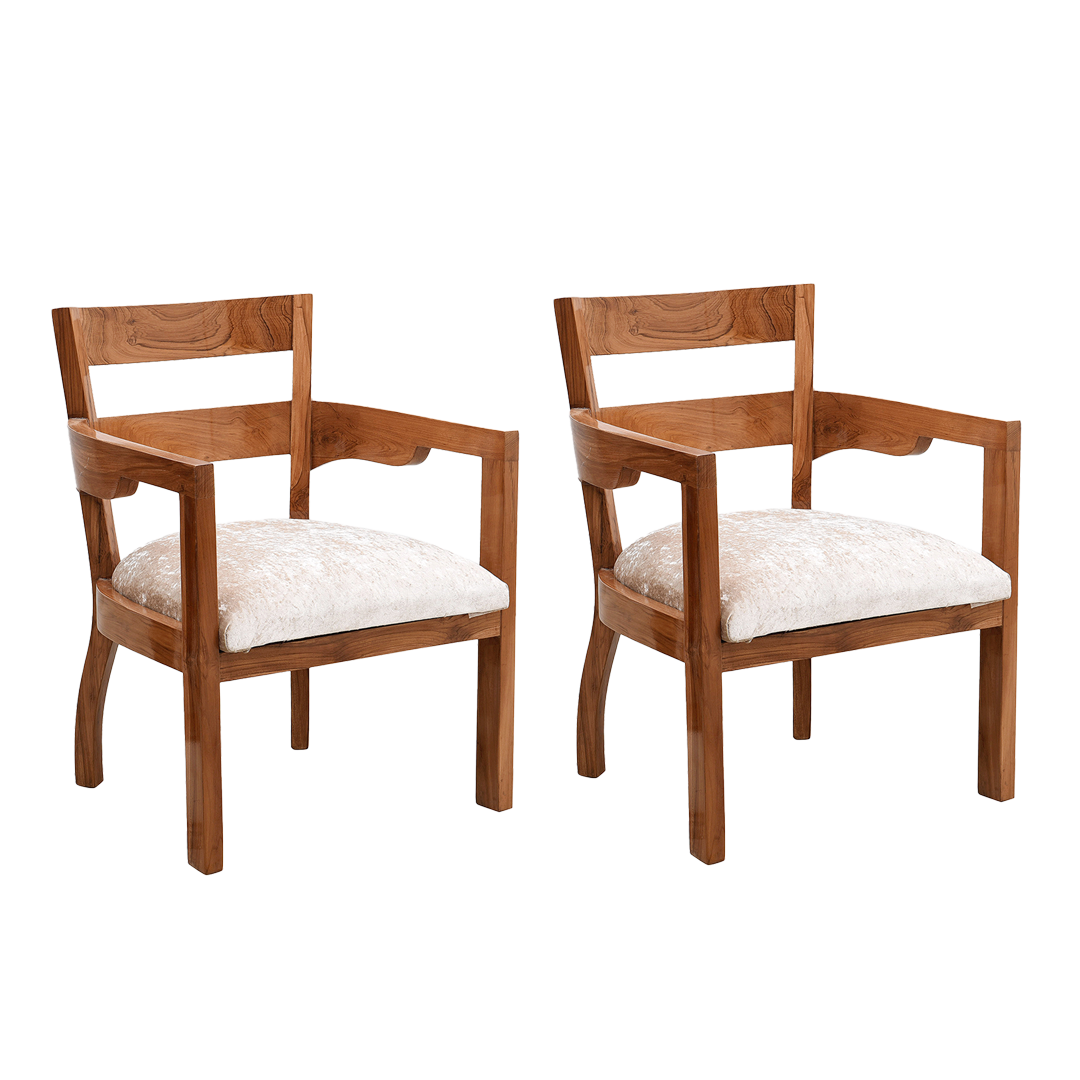 Projakto Solid Wood Living Room Chair (Teak)