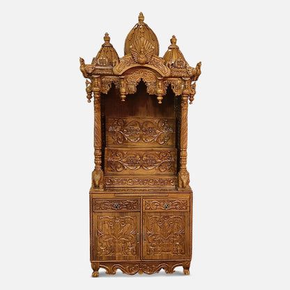 Dakshinaalaya Teak Wood Mandap (Teak) Front view 