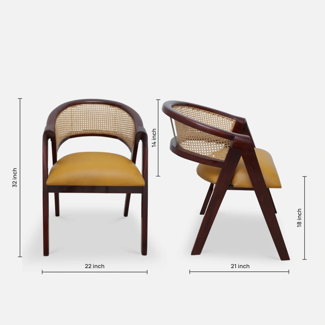 Deymar Teak Wood Arm Chairs (Brown Yellow) dimensions view 