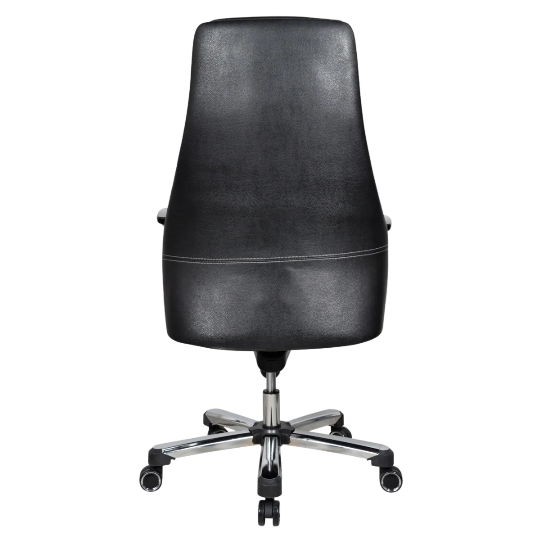 Exotique Recliner Office Executive Chair (Black) Back View