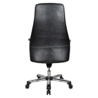 Exotique Recliner Office Executive Chair (Black) Back View