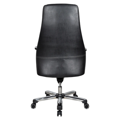 Exotique Recliner Office Executive Chair (Black) Back View