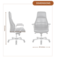 Exotique Recliner Office Executive Chair (Black) Dimensions