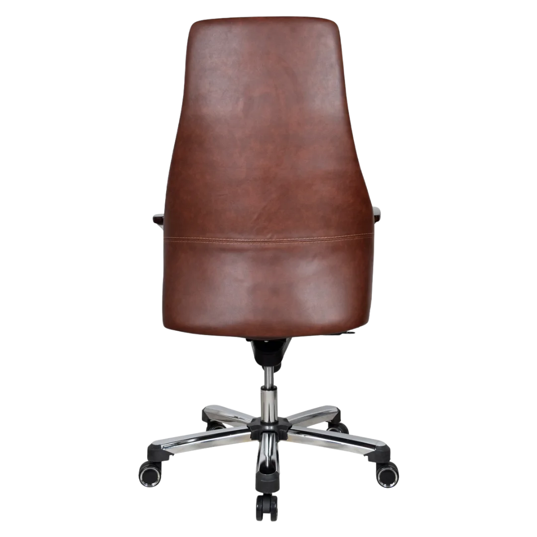 Exotique Recliner Office Executive Chair (Brown) Back view