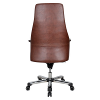 Exotique Recliner Office Executive Chair (Brown) Back view