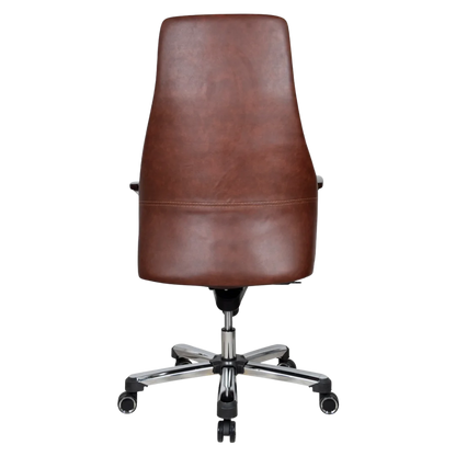 Exotique Recliner Office Executive Chair (Brown) Back view