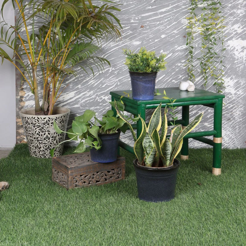 Fenora Ceramic Flower Pot (Set of 3) lifestyle view