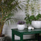 Floramic Ceramic Flower Pot (Set of 2) lifestyle view